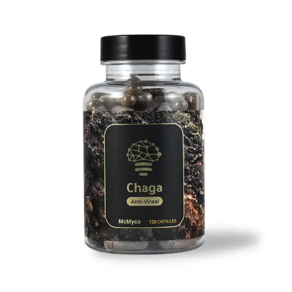 Chaga extract capsules – 120 pcs