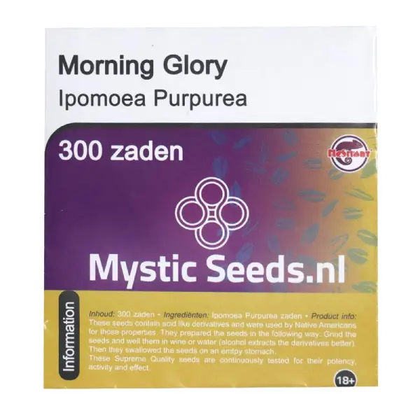 Morning Glory – 300 seeds