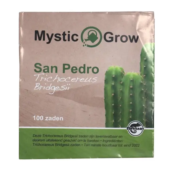 San Pedro T bridgesii seeds – 100 pcs